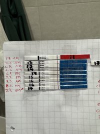 IMG_6773.jpeg IMG_6773.jpeg