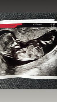 IMG_4162.jpeg IMG_4162.jpeg