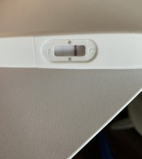 IMG_0913.jpeg IMG_0913.jpeg