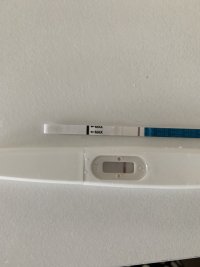 IMG_0908.jpeg IMG_0908.jpeg