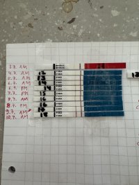 IMG_6793.jpeg IMG_6793.jpeg