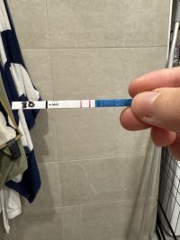 IMG_6824.jpeg IMG_6824.jpeg