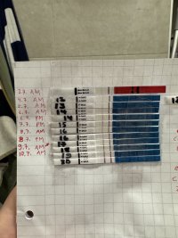 IMG_6825.jpeg IMG_6825.jpeg