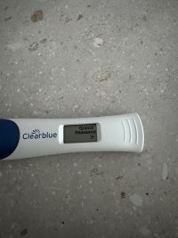 IMG_6902.jpeg IMG_6902.jpeg