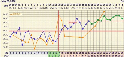 Screenshot_20250721_164523_FF App.jpg