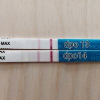 1000002781.jpg 1000002781.jpg