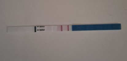 20250728_052402.jpg 20250728_052402.jpg