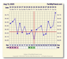 Screenshot_20250831-071358.FF App.png