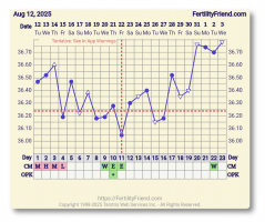 Screenshot_20250903-073802.FF App.png