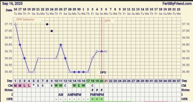 Screenshot_20251006_064545_FF App.jpg