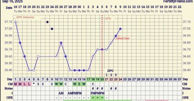 Screenshot_20251009_064245_FF App.jpg