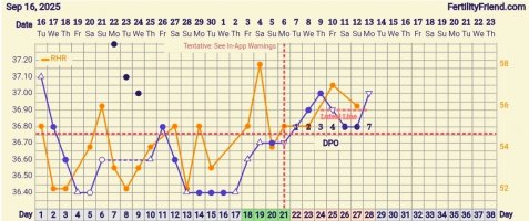 Screenshot_20251013_095648_FF App.jpg