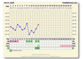 Screenshot_20251013-150857.FF App.png