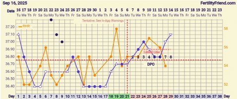 Screenshot_20251014_104253_FF App.jpg