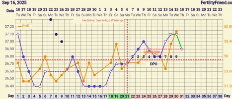 Screenshot_20251016_063632_FF App.jpg