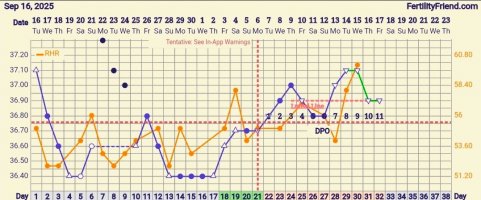 Screenshot_20251017_084708_FF App.jpg