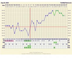 Screenshot_20251020_111221_FF App.jpg