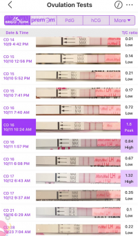 Näyttökuva 2025-10-23 kello 8.03.32.png