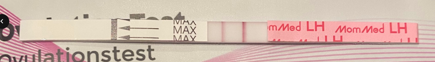 Näyttökuva 2025-10-23 kello 8.03.42.png