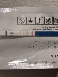 IMG_7769.jpeg IMG_7769.jpeg