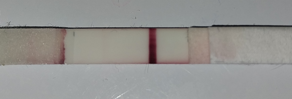 1761723766501.png 1761723766501.png