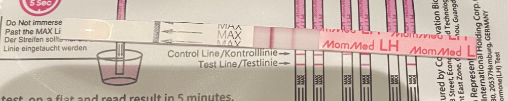 IMG_9586.jpeg IMG_9586.jpeg