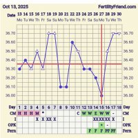 Screenshot_20251030_064551_FF App.jpg