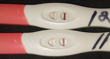 1000009824.jpg 1000009824.jpg