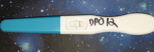 7171717171.png 7171717171.png