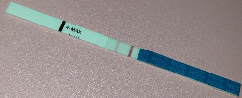 1000009850.jpg 1000009850.jpg