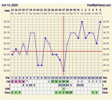 Screenshot_20251106_081210_FF App.jpg