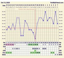 Screenshot_20251107_093511_FF App.jpg