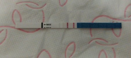 1000010048.jpg 1000010048.jpg