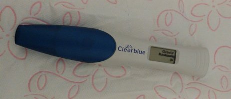 1000010050.jpg 1000010050.jpg