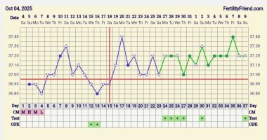 Screenshot_20251109_113451_FF App.jpg