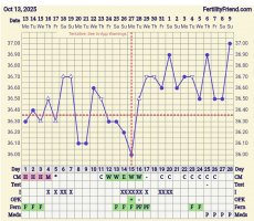 Screenshot_20251109_130255_FF App.jpg