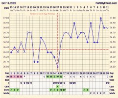 Screenshot_20251111_175210_FF App.jpg