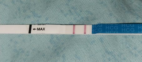 1000010083.jpg 1000010083.jpg