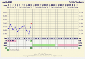 Screenshot_20251113-202122_FF App.png