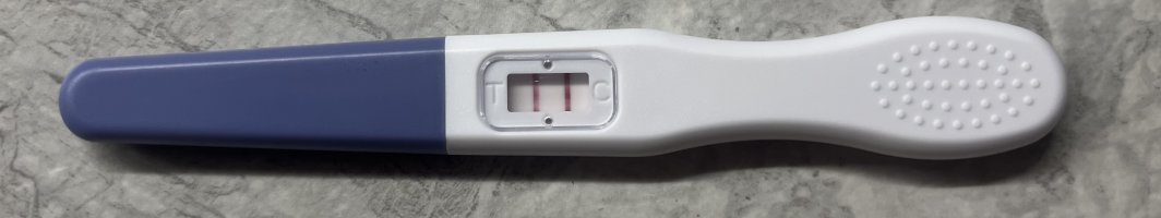 IMG_2866.jpeg IMG_2866.jpeg