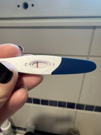 IMG_0117.jpeg IMG_0117.jpeg