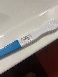 IMG_5414.jpeg IMG_5414.jpeg