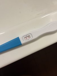 IMG_5418.jpeg IMG_5418.jpeg