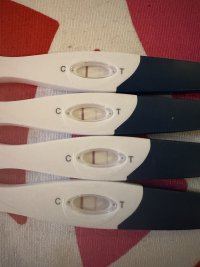 IMG_0130.jpeg IMG_0130.jpeg