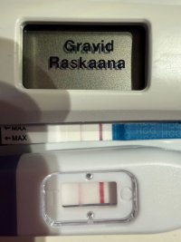 WhatsApp Image 2025-11-19 at 15.10.01.jpeg