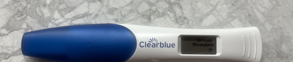 IMG_2896.jpeg IMG_2896.jpeg