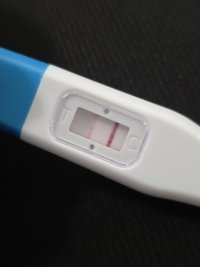 inbound1150634211185241096.jpg inbound1150634211185241096.jpg