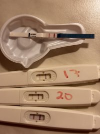 IMG_7932.jpeg IMG_7932.jpeg