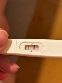 IMG_7931.jpeg IMG_7931.jpeg