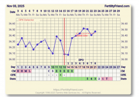 Screenshot_20251123-073017_FF App.png